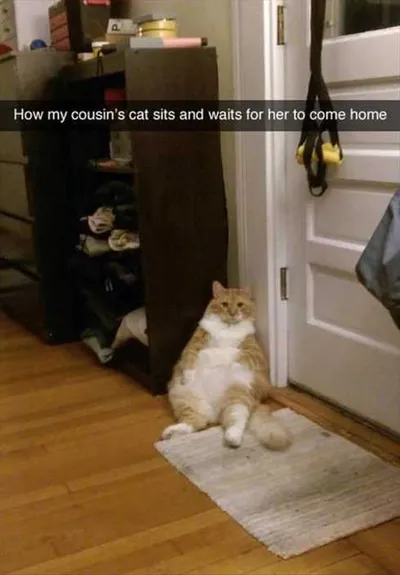 Very Funny Pictures 001