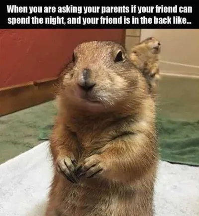 Very Funny Pictures 007