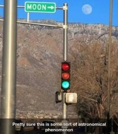 Very Funny Pictures 008