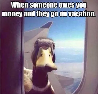 Very Funny Pictures 010