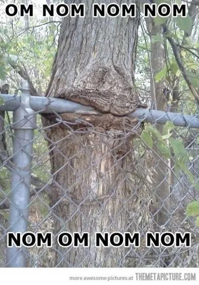 Very Funny Pictures 014