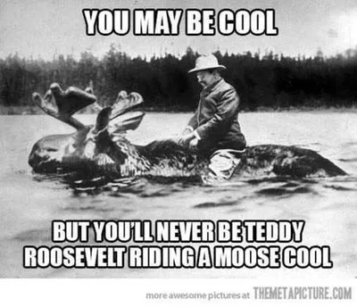 Very Funny Pictures 016