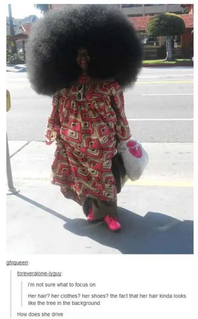 Very Funny Pictures 020