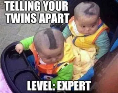 Telling Your Twins Apart. How To Tell Your Twins Apart