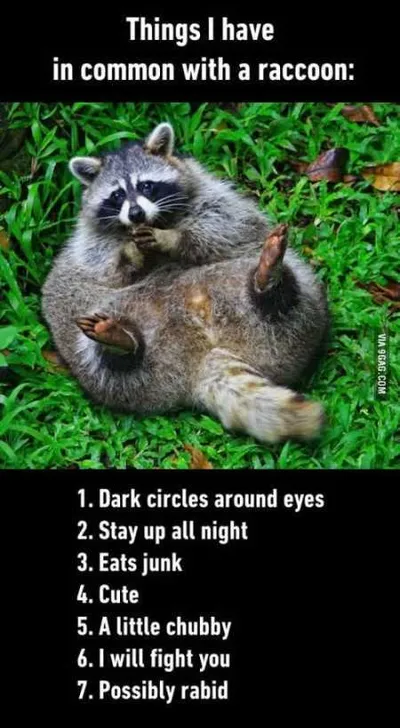 Absolutely Hilarious Animal Pictures 033