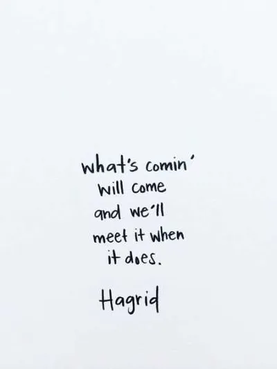 Motivation Quote About Fear