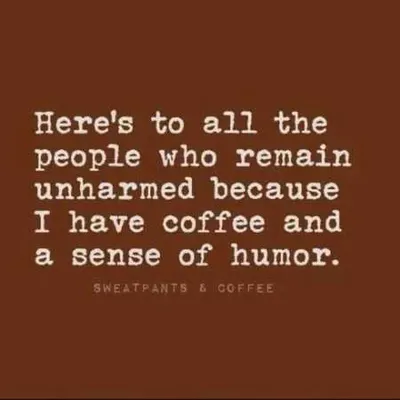 Pretty Hilarious Quotes 3005