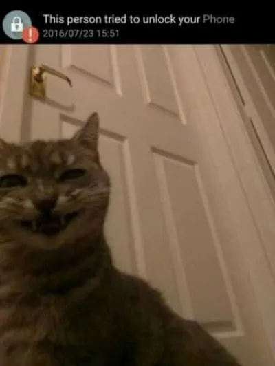 Absolutely Hilarious Animal Pictures 326