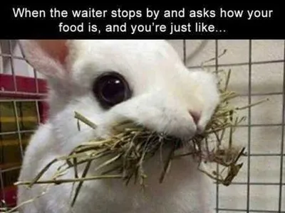 Funny Pictures Youre Going To Love 406