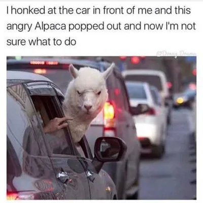 Funny Pictures Youre Going To Love 415