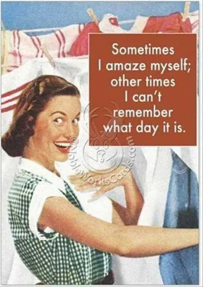 Funny Quotes And Sayings 504