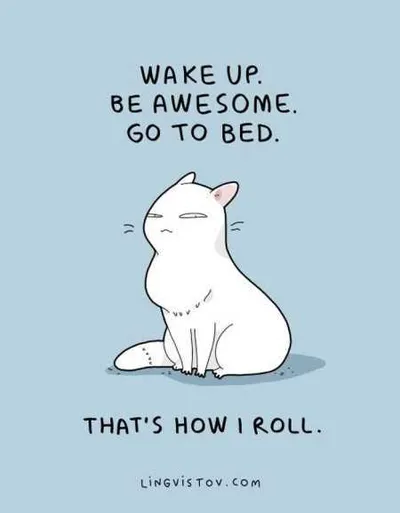 Funny Quotes And Sayings 509