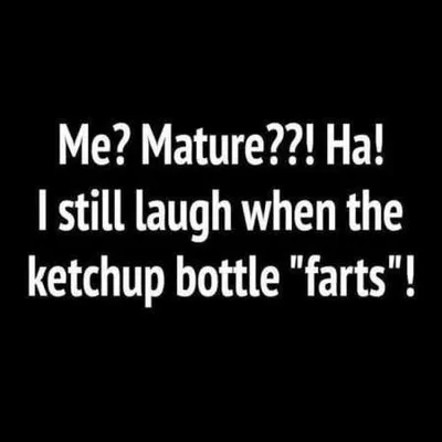 Funny Quotes And Sayings 523