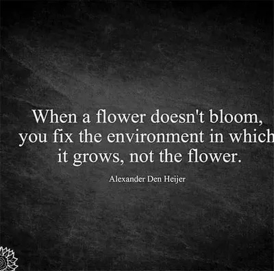 Changequote Flower