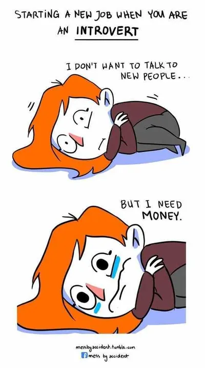 Introvert Job