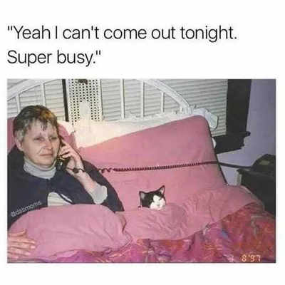 Introvert Superbusy