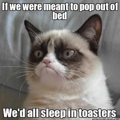 Sleep Toasters