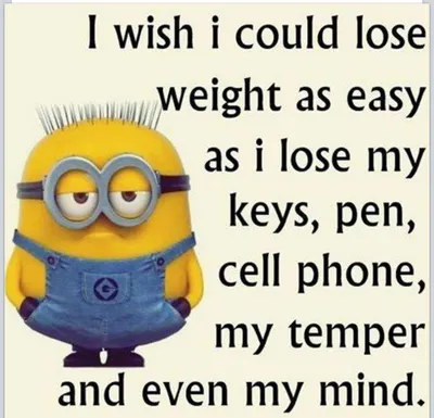 Minion Losemind
