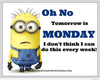 Minion Mondaycant