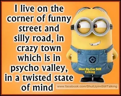 Minion Sillystreet