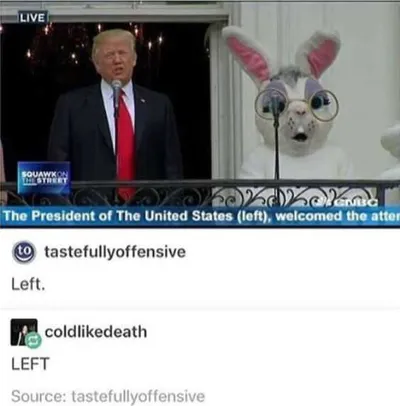 Tumblr Leftpotus