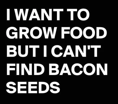 Bacon Seeds
