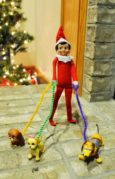 Elf On The Shelf Funny  Walking The Dog Meme