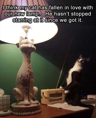 Cat Lamp