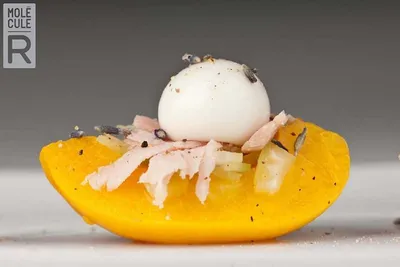 Molecular Gastronomy Kit 2