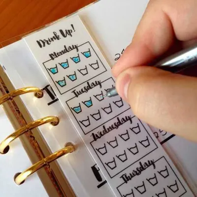 Bullet Journal Ideas  Hydration Tracker