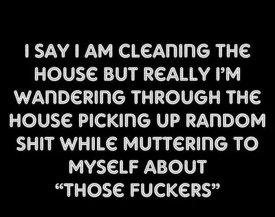 Funny Quotes About Parenting