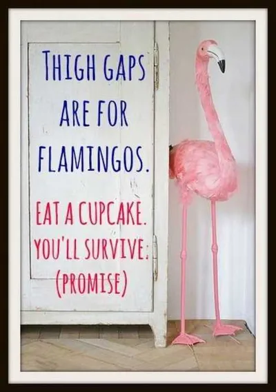 Snappy Funny Memes  Flamingo Thigh Gap