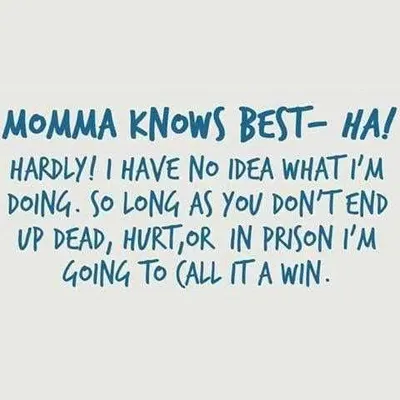 Funny Quote About Parenting