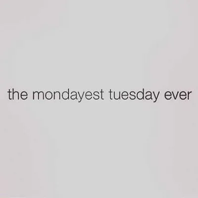 Funny Quotes About Tuesdays