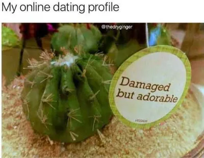 Funny Damaged Adorable