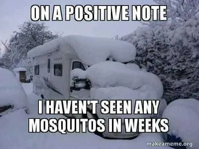 Funny Meme Mosquitos