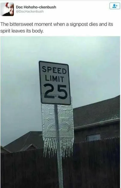 Funny Dank Memes  Signpost Spirit