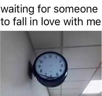 Funny Single Fall In Love