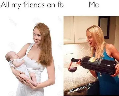 Funny Single Wine Glass