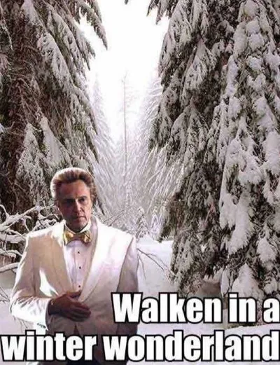 Funny Walken Wonderland