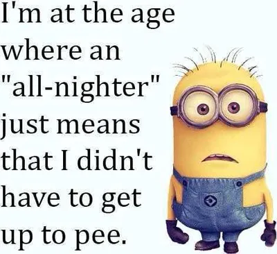Minion Quotes Funny Aging