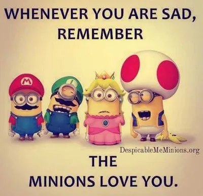 Hilarious Minions Images Minion Love
