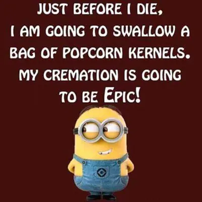 Minion Quotes Funny Death