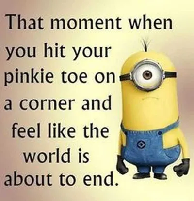 Minion Quotes Funny Life Fails