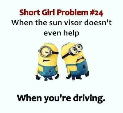 Minion Quotes Funny Short People