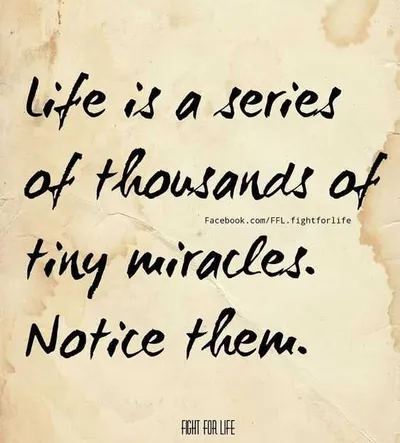Inspirational Quotes About Life Tiny Miracles