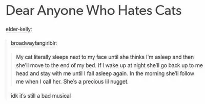 Hilarious Tumblr Posts 9  Cat Musical