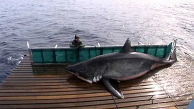 Unbelievable Photos  Playing With Fire