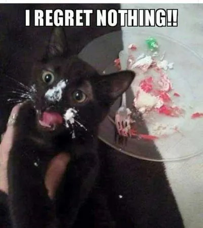 Funny Images Clean  No Regrets