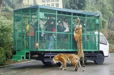 Screen Shot 2018 03 12 At 12.23.17 Am